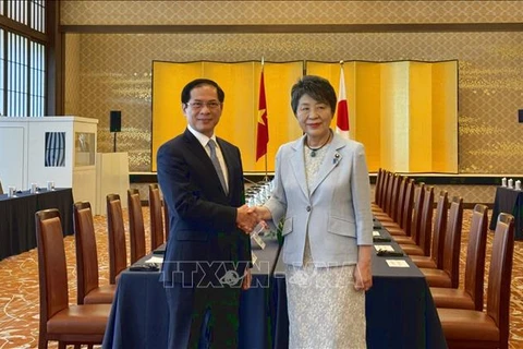 Minister of Foreign Affairs Bui Thanh Son (L) shakes hands with his Japanese counterpart Kamikawa Yoko. (Photo: VNA)