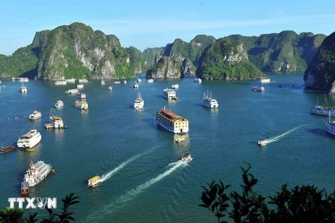 A view of Ha Long Bay in Quang Ninh province (Photo: VNA)