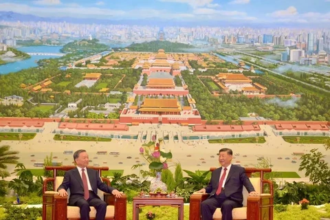 General Secretary of the Communist Party of Vietnam Central Committee, President of Vietnam To Lam (L) and his Chinese counterpart Xi Jinping (Photo: VNA)