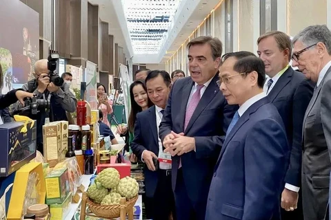 Deputy Prime Minister and Minister of Foreign Affairs Bui Thanh Son visits a Vietnamese booth at the event. (Photo: VNA)