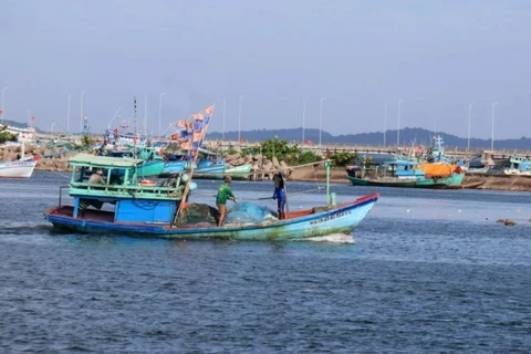自2022年8月至今，巴地头顿省未发生渔船在外国海域非法捕捞行为。图自越通社