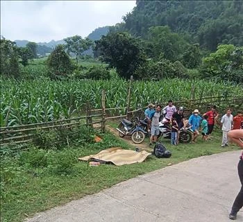 Escena del accidente (Fuente:VNA)