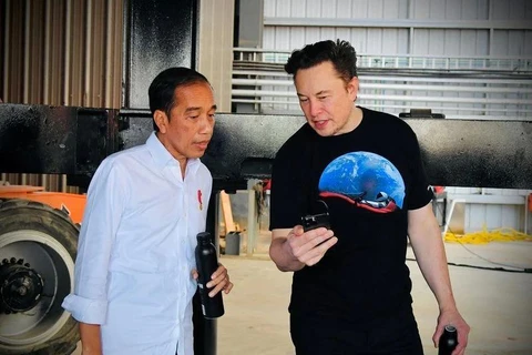 El director ejecutivo de Tesla, Elon Musk, con el presidente Joko Widodo (Fuente: Reuters)