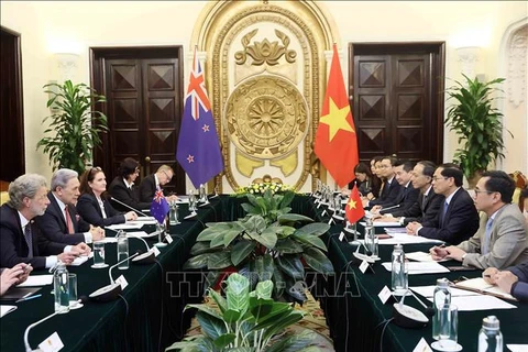 El ministro de Relaciones Exteriores de Vietnam, Bui Thanh Son, y el viceprimer ministro y canciller de Nueva Zelanda, Winston Peters, copresiden la segunda Conferencia de Cancilleres entre los dos países. (Fuente: VNA)