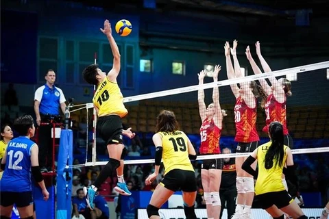 En el partido entre Vietnam y Bélgica. (Fuente: FIVB)