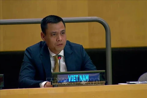 Dang Hoang Giang, representante permanente de Vietnam ante la Organización de Naciones Unidas. (Fuente: VNA)