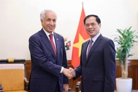 El canciller vietnamita, Bui Thanh Son, y el ministro de Estado para Asuntos Exteriores de Qatar, Soltan bin Saad Al-Muraikhi. (Fuente: VNA)