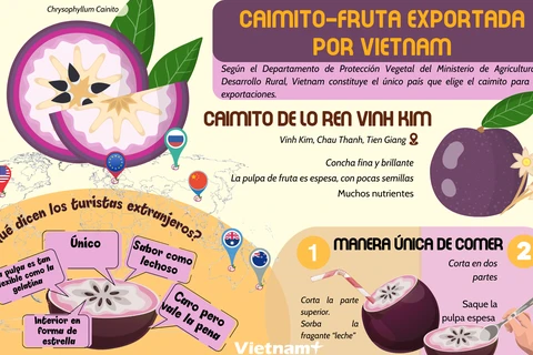 Camito, fruta exportada por Vietnam