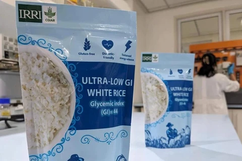  Filipinas desarrolla nueva variedad de arroz para combatir diabetes. (Fuente: irri.org)