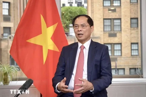 El viceprimer ministro y ministro de Relaciones Exteriores Bui Thanh Son. (Fuente: VNA)