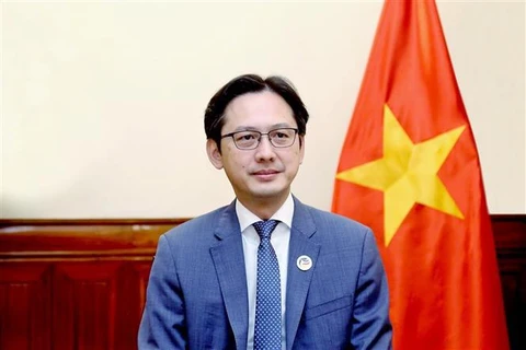 El viceministro de Relaciones Exteriores de la nación indochina Do Hung Viet. (Fuente: VNA)