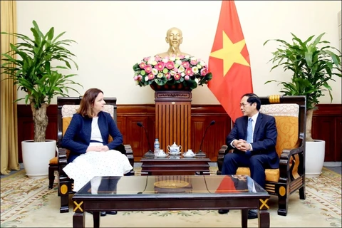 越南外交部长裴青山（右）会见波兰外交部副国务秘书安娜·克里斯蒂娜·拉德万-罗伦舍夫。图自越通社