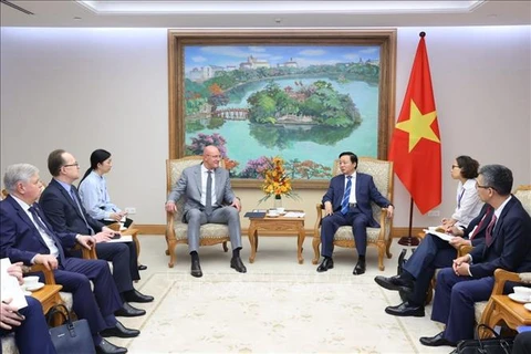 Le vice-Premier ministre Tran Hong Ha reçoit son homologue russe Dmitry Chernyshenko. Photo: VNA