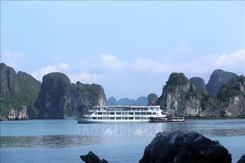 Baie de Ha Long, province de Quang Ninh. Photo: VNA