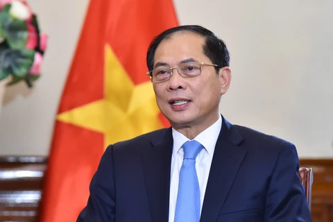 Le vice-Premier ministre et ministre des Affaires étrangères, Bui Thanh Son. 