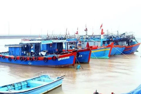 La province de Quang Binh contrôle 100% des navires de pêche arrivant aux ports locaux pour charger et décharger des produits de pêche, conformément aux réglementation. Photo d'archives