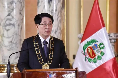 Le président Luong Cuong prend la parole. Photo: VNA