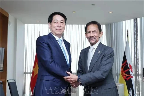 Le président Luong Cuong (gauche) et le sultan de Brunei, Hassanal Bolkiah. Photo: VNA