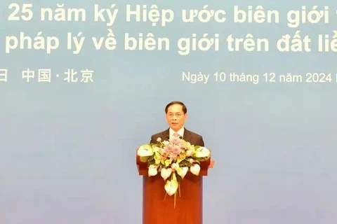 Le vice-Premier ministre et ministre des Affaires étrangères, Bui Thanh Son, lors de la cérémonie. Photo: baochinhphu.vn