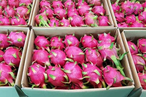 Dragon fruit makes a splash at Spinneys debut in Saudi Arabia