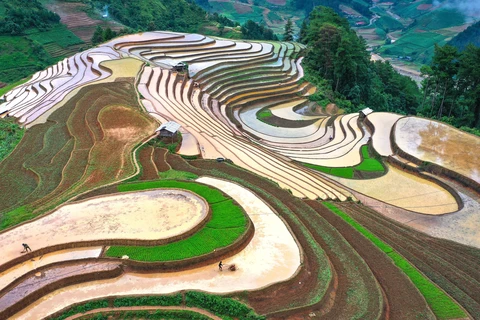 Spectacular water pouring season in Mu Cang Chai