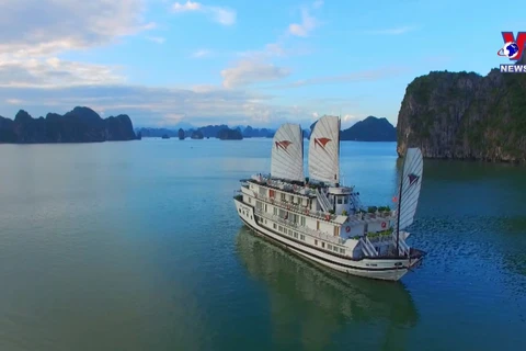 Ha Long Bay - Cat Ba Archipelago recognised as World Geological Heritage