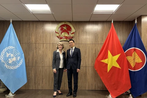 越南常驻联合国代表团团长邓黄江大使会见联合国缅甸问题特使毕晓普。图自越通社