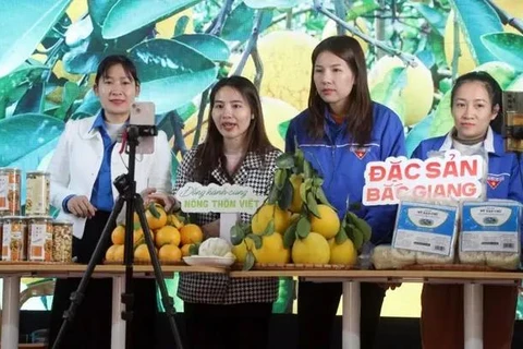 利用直播平台推广销售北江省农产品。图自越通社