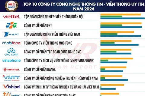 越南评估报告股份公司发布2024年越南科技企业十强榜单。图自vietnamreport.net.vn