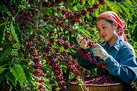 资料图。图自互联网