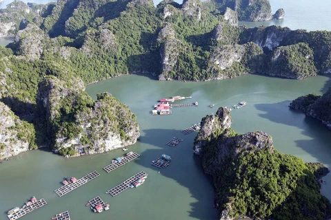 翁望渔村是越南广宁省下龙湾上的一个小渔村，深受国际游客喜爱。图自越通社