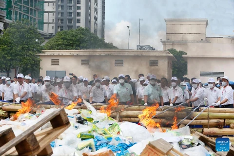 Cambodia burns down drugs worth 22.7 million USD (Photo: english.news.cn)