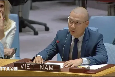 Minister Counsellor Nguyen Hoang Nguyen, deputy head of the Permanent Delegation of Vietnam to the UN (Photo: VNA)