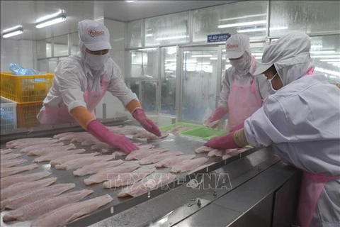 Vietnam's H1 seafood exports hit 4.4 billion USD (Photo:VNA)