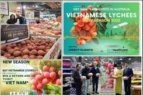 Vietnamese lychee sold well at Costco stores in Australia (Photo: VNA)