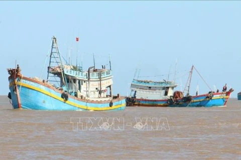 Ben Tre strives to meet fishing vessel registration requirements (Photo: VNA)