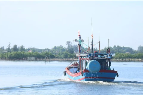 Quang Tri intensifies measures to combat nearshore finishing violations (Photo: VNA)