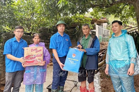 Emergency aid is delivered to Yagi-hit families in the northern province of Lang Son. (Photo: VNA)