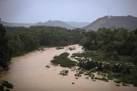 Flood water on Bui river (Photo: VNA)