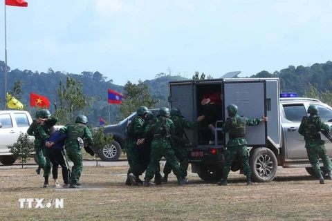  Vietnamese, Lao border localities hold a joint exercise on fighting drug crime (Photo: VNA)