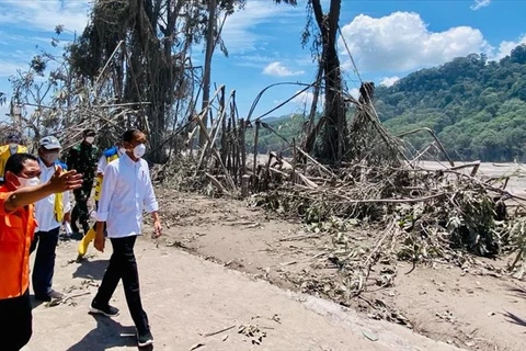 At least seven killed in bridge collapse in Indonesia (Photo: aa.com.tr)