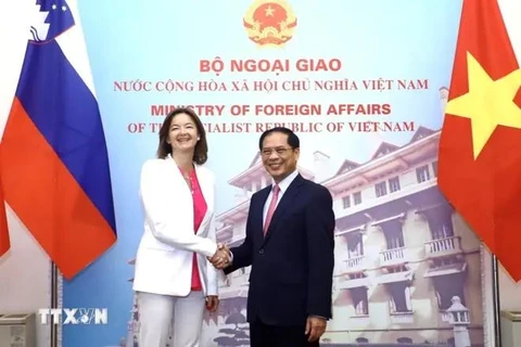 La vice-Première ministre et ministre slovène des Affaires étrangères et européenne Tanja Fajon et le ministre vietnamien des Affaires étrangères Bui Thanh Son. Photo: VNA