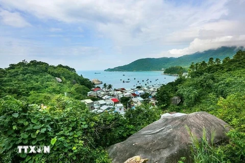 La réserve mondiale de biosphère de Cu Lao Cham. Photo: Vietnamplus