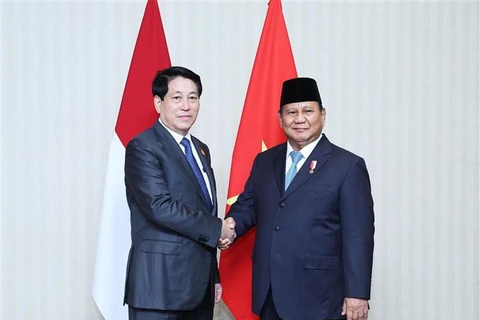 Le président Luong Cuong (gauche) et son homologue indonésien, Prabowo Subianto. Photo: VNA