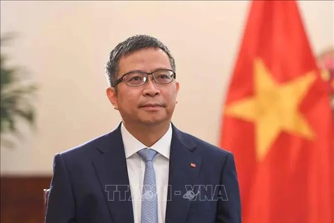 Le vice-ministre des Affaires étrangères, Pham Thanh Binh. Photo: VNA