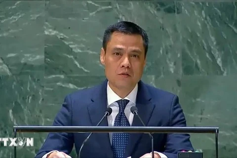 El embajador Dang Hoang Giang, jefe de la misión peramente de Vietnam en la ONU (Fuente: VNA)