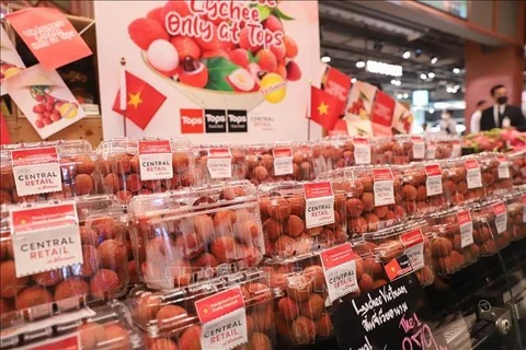 El lichi vietnamita vendido en el centro comercial Central World en Bangkok, Tailandia. (Foto: VNA)