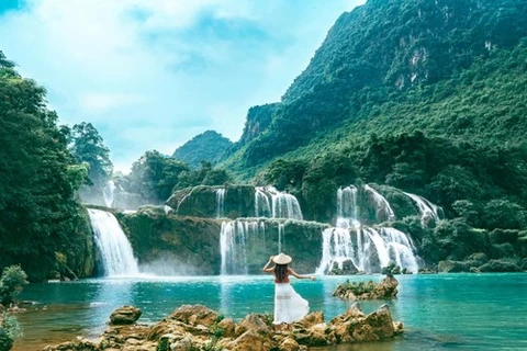 La cascada Ban Gioc en Cao Bang (Fuente: VNA)