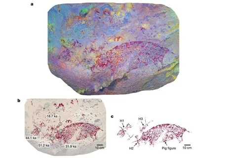 Una pintura en una cueva de Indonesia (Foto: Universidad Griffith)