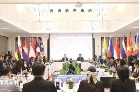 En la 19 reunión del Grupo de Trabajo del Foro de la ASEAN sobre Tributación en la provincia de Luang Prabang, Laos. (Foto: VNA)